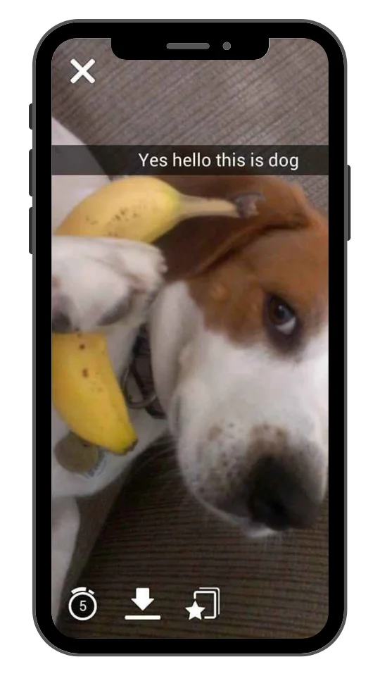 A smartphone screen displays a Snapchat image of a dog lying down with a banana resting on its shoulder, positioned like a phone. The caption humorously reads, "Yes hello this is dog." The interface shows Snapchat controls at the bottom, including a timer, download, and star icons.